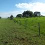 Fazenda em Aquidauna Ms – com 876 hectares