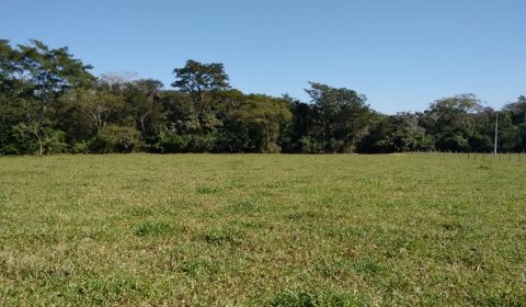 Fazenda em Bonito MS, com 88 hectares