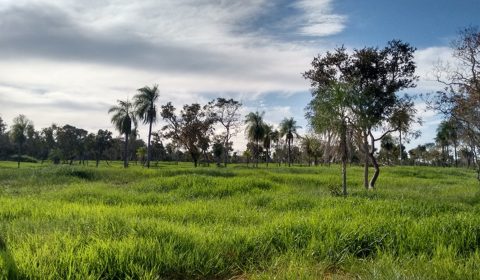Fazenda em Bonito MS com 1.400 hectares