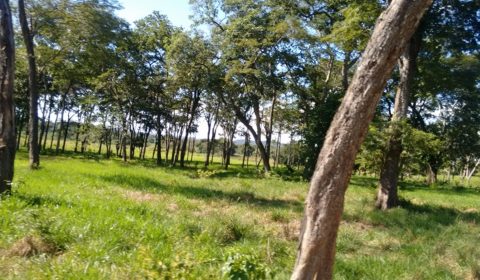 Fazenda para Venda em Bonito MS 1.272 hectares
