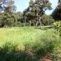 Fazenda em Bonito MS com 164 hectares