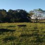 Chácara em Bonito MS com 32 hectares