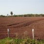 Fazenda para venda com 5.000 hectares em Bonito MS