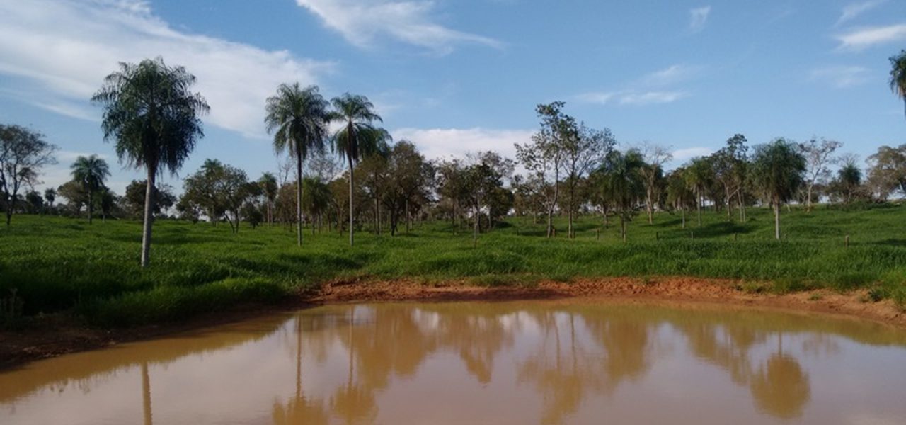 Fazenda Em Bonito Mato Grosso Do Sul 